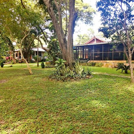 Xalli Beach Hotel Altagracia Eksteriør billede